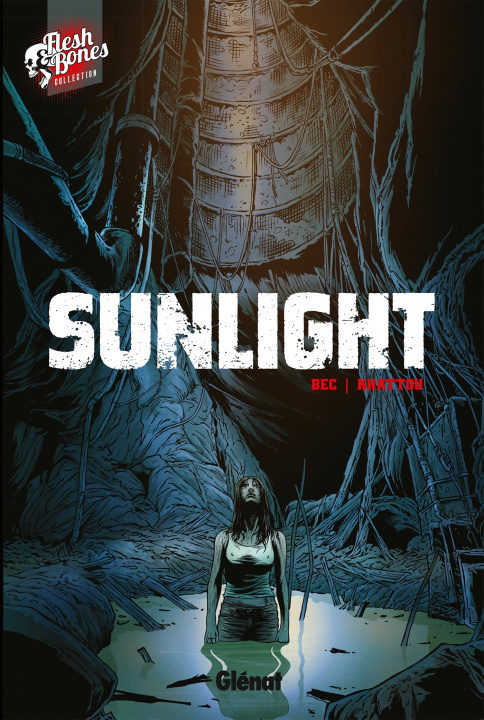 Buch Sunlight 