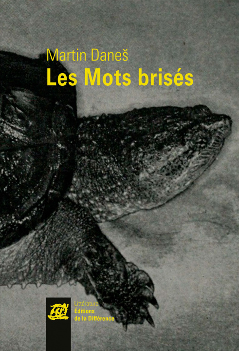 Knjiga Les Mots brisés DANES