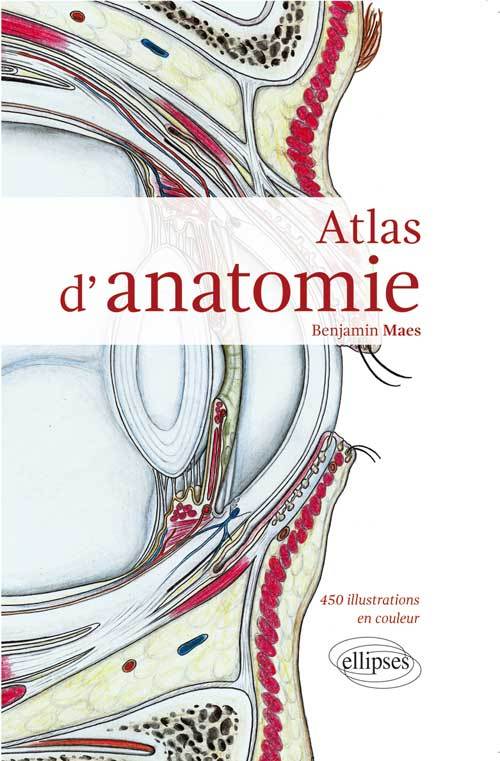 Kniha Atlas d'anatomie Maes