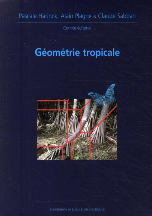 Kniha Géométrie tropicale Teissier