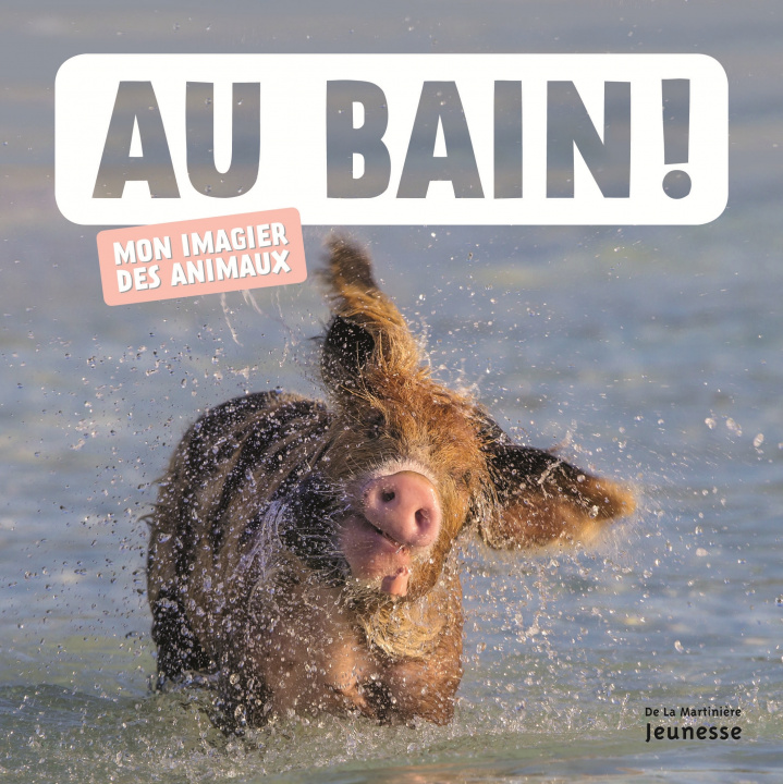 Knjiga Au bain ! Collectif