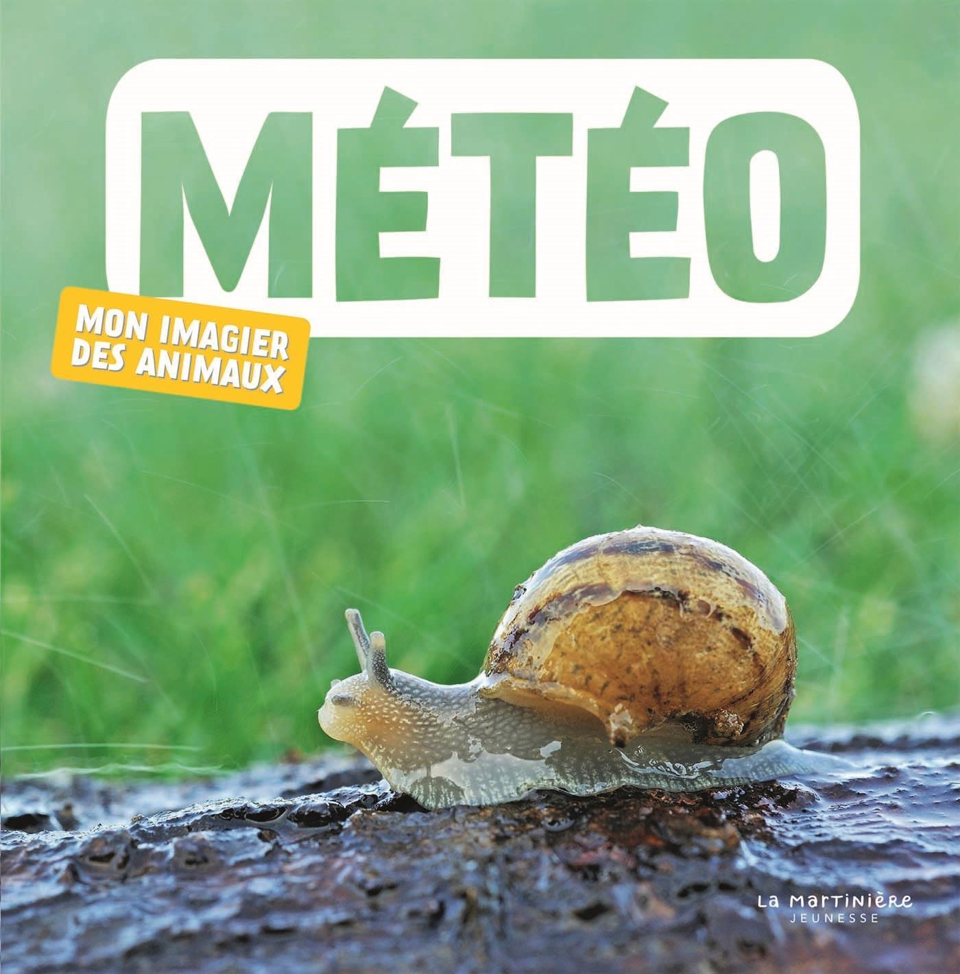 Könyv Météo 