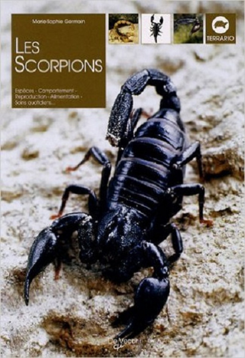 Kniha SCORPIONS GERMAIN