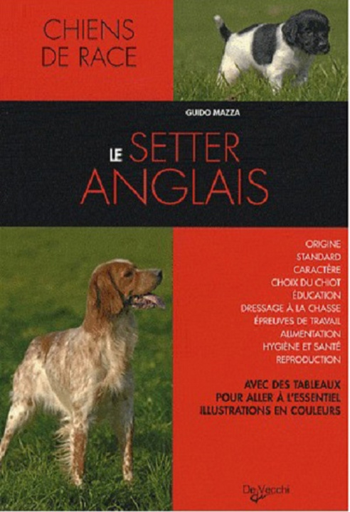 Knjiga SETTER ANGLAIS CATTANEO