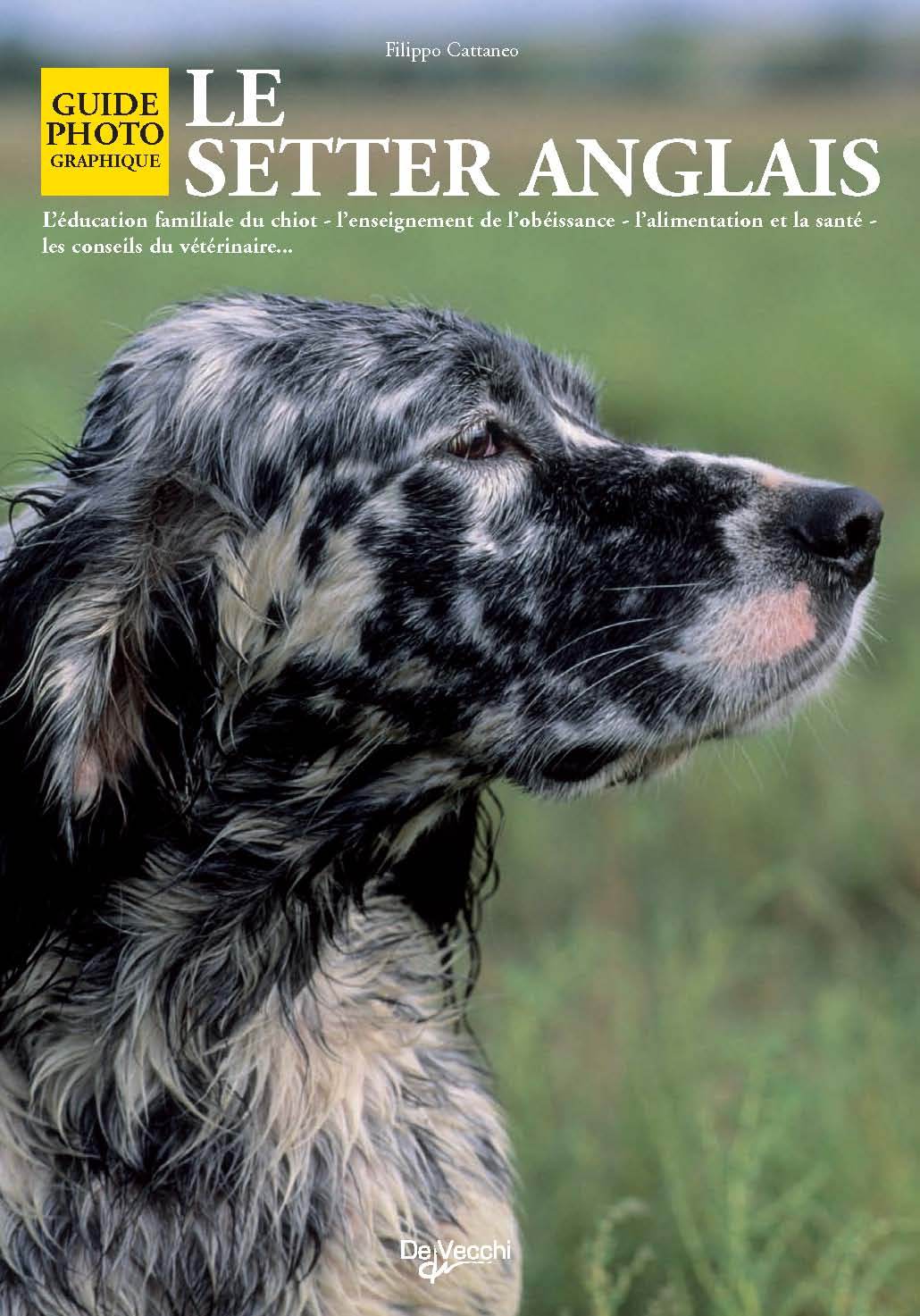 Książka SETTER ANGLAIS CATTANEO