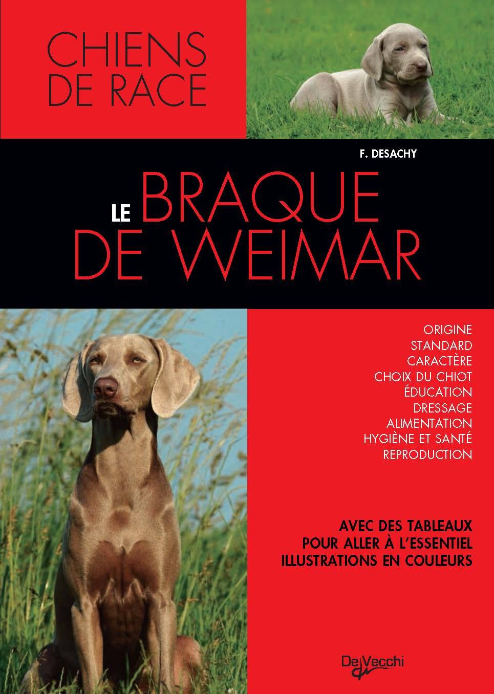 Boek BRAQUE DE WEIMAR DESACHY