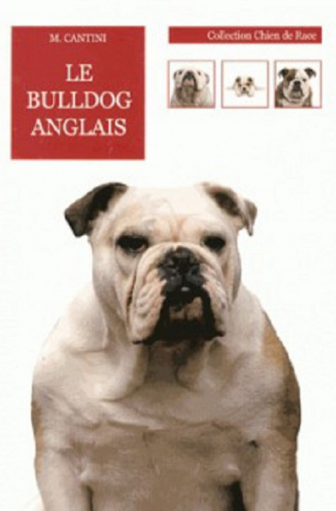 Knjiga BULLDOG ANGLAIS CANTINI