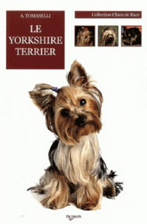 Carte YORKSHIRE TERRIER TOMASELLI