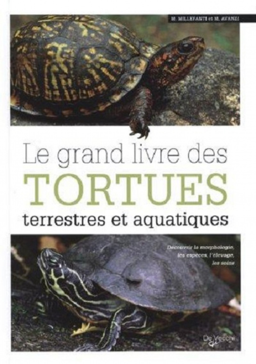 Libro TORTUES TERRESTRES AVANZI