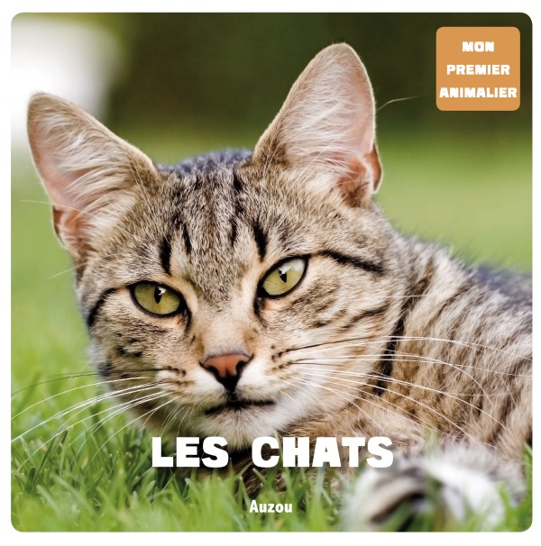 Knjiga LES CHATS David