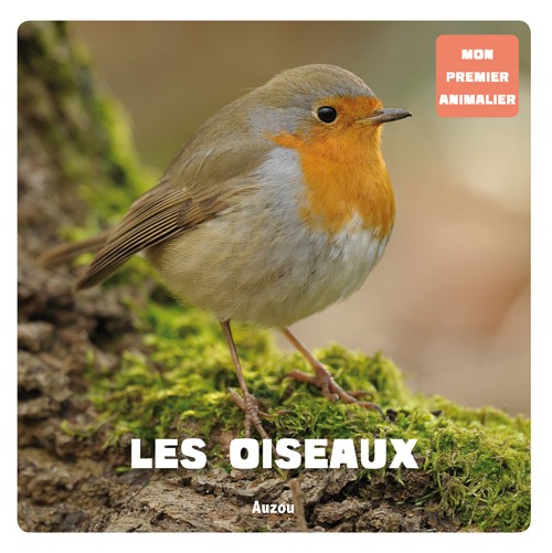 Kniha Les oiseaux DAVID PATRICK
