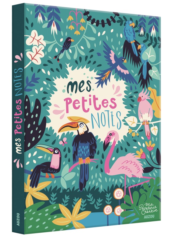 Book MES PETITES NOTES PAULA MC GLOIN