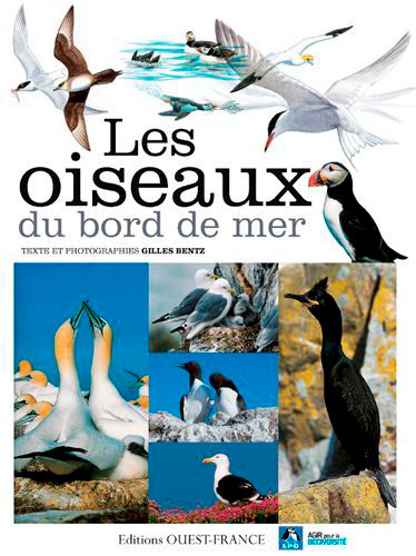Kniha Les Oiseaux du bord de mer 