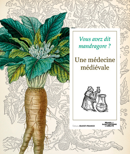 Könyv Vous avez dit mandragore ? Une médecine médiévale Jay COLLECTIF & FABOK