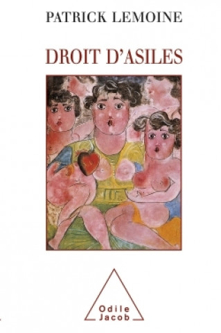 Buch Droit d'asiles Patrick Lemoine