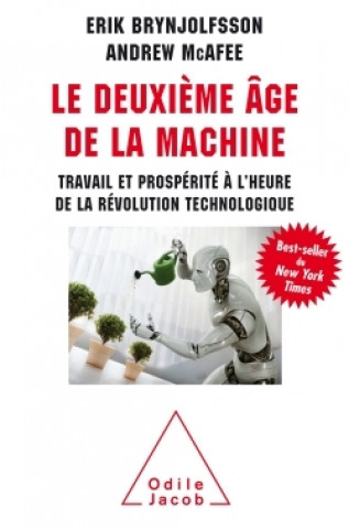 Kniha Le Deuxième âge de la machine Erik Brynjolfsson