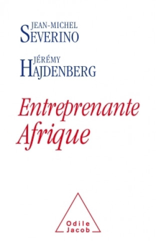 Livro Entreprenante Afrique Jean-Michel Severino