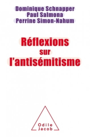 Buch Réflexion sur l'antisémitisme Dominique Schnapper