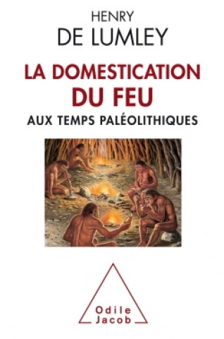 Knjiga La domestication du feu aux temps paléolithiques Henry de Lumley