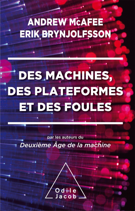 Kniha Des Machines, des plateformes et des foules Andrew Mcafee