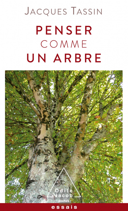 Kniha Penser comme un arbre Jacques Tassin