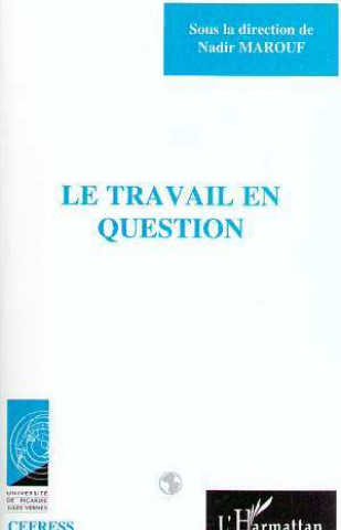 Kniha Le travail en question Marouf