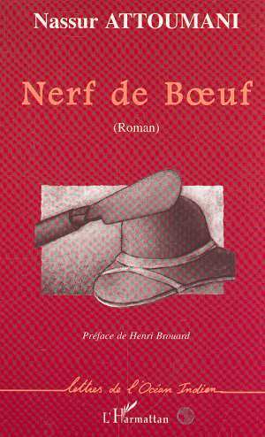Boek NERF DE BUF Attoumani
