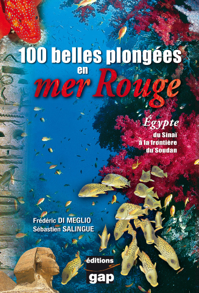 Carte 100 belles plongées en mer Rouge : Egypte du Sinaï au Soudan Di Méglio