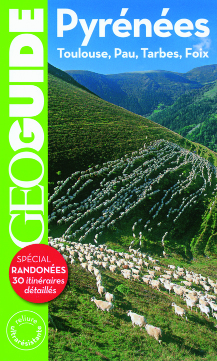 Knjiga PYRENEES COLLECTIFS GALLIMARD LOISIRS