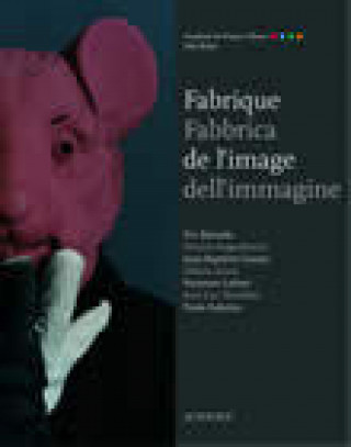 Knjiga Fabrique de l'image Le gall