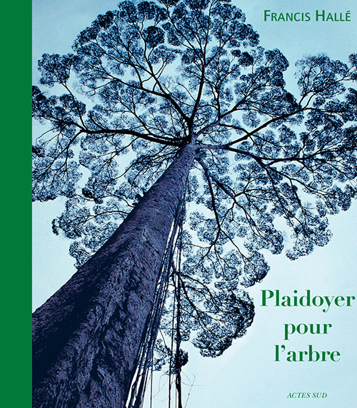 Kniha Plaidoyer pour l'arbre Hallé