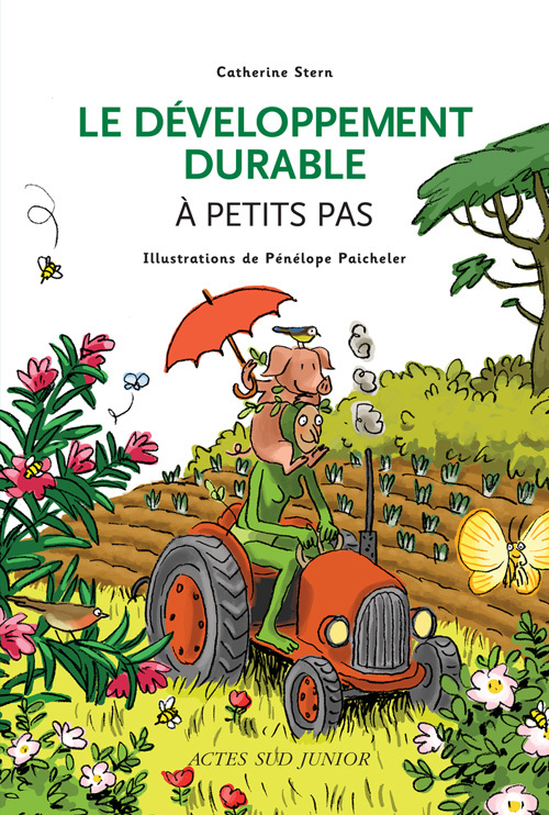 Book Le Développement durable à petits pas Stern