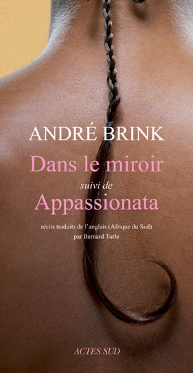 Buch Dans le miroir Brink