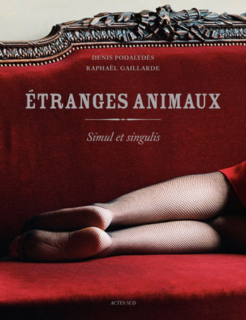Buch Etranges animaux Podalydès
