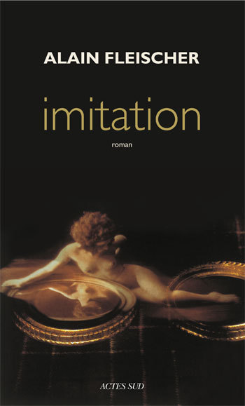 Buch Imitation Fleischer