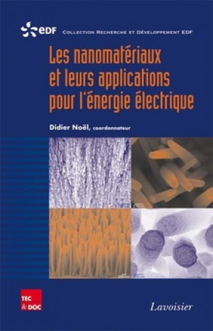 Könyv Les nanomatériaux et leurs applications pour l'énergie électrique 