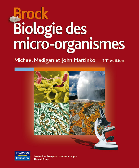 Kniha BROCK BIOLOGIE DES MICRO-ORGANISMES 11E EDITION Michael MADIGAN