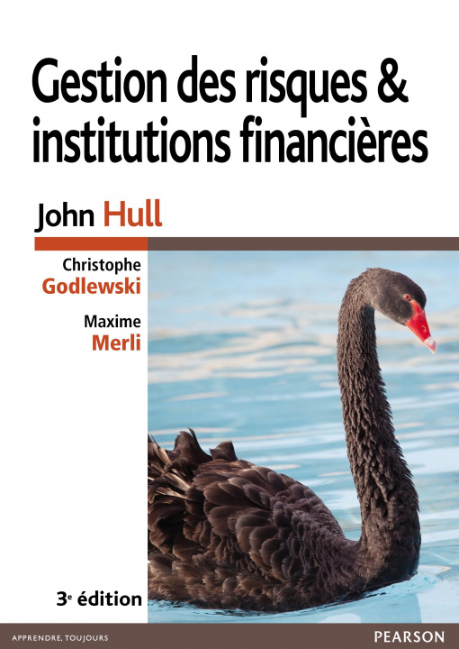 Kniha GESTION DES RISQUES ET INSTITUTIONS FINANCIERES 3E ED John HULL