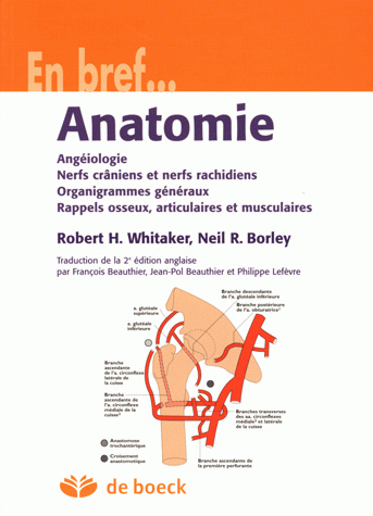 Carte Anatomie BORLEY