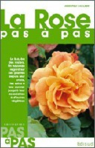 Libro La rose Collaert