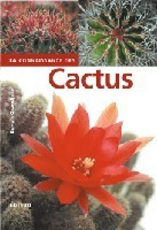 Kniha La connaissance du cactus et autres succulentes - 150 questions-réponses Grandjean