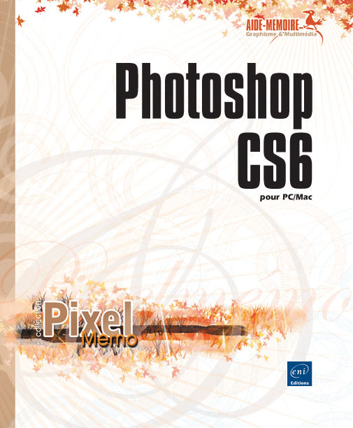 Kniha Photoshop CS6 - pour PC/Mac collegium