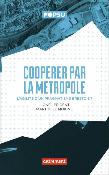 Kniha Dynamiques de l'emploi et métropole Lionel Prigent