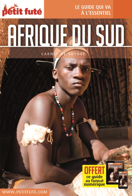 Knjiga AFRIQUE DU SUD 2016 CARNET PETIT FUTE Labourdette