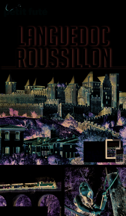 Kniha languedoc roussillon 2016 petit fute Labourdette