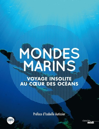 Kniha Mondes marins - Voyage insolite au coeur des océans Bruno David