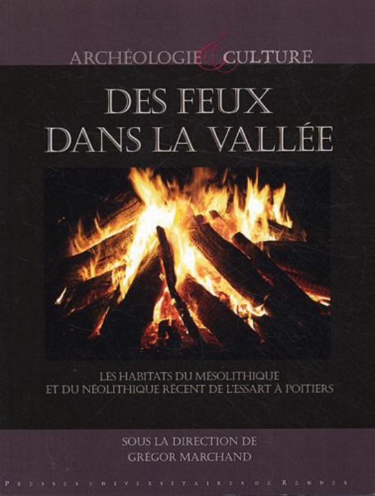 Knjiga FEUX DANS LA VALLEE MARCHAND