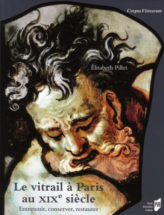 Kniha VITRAUX DE PARIS AU XIXE SIECLE Pillet
