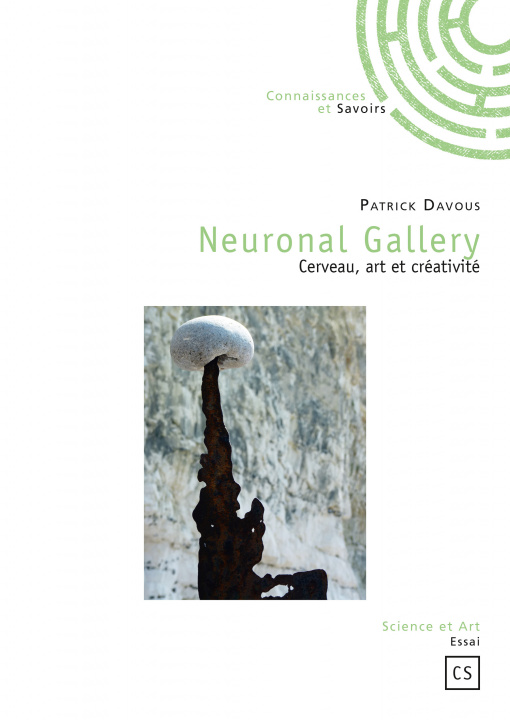 Kniha Neuronal gallery - cerveau, art et créativité Davous