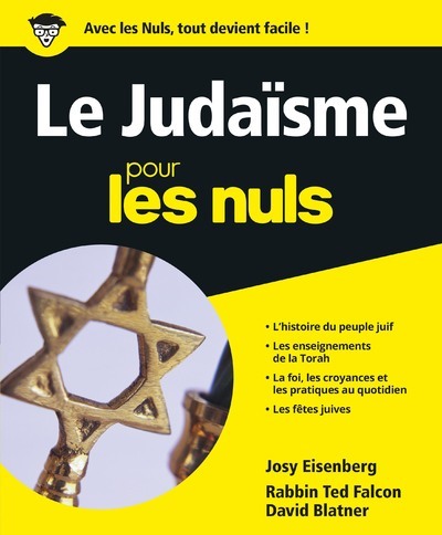 Könyv Le judaïsme Pour les nuls Ted Falcon